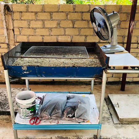 Homestay Tok Abah Dalam Rhu Pasir Puteh Exterior foto